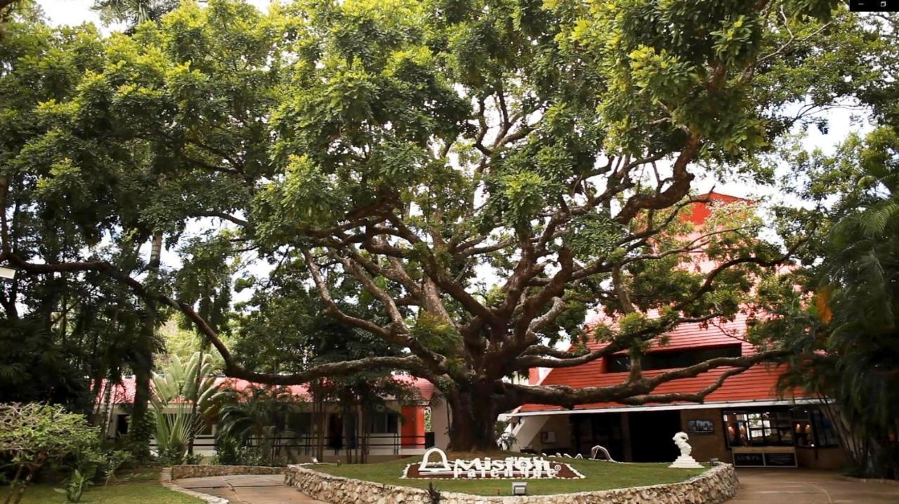 Mision Palenque Hotel Kültér fotó